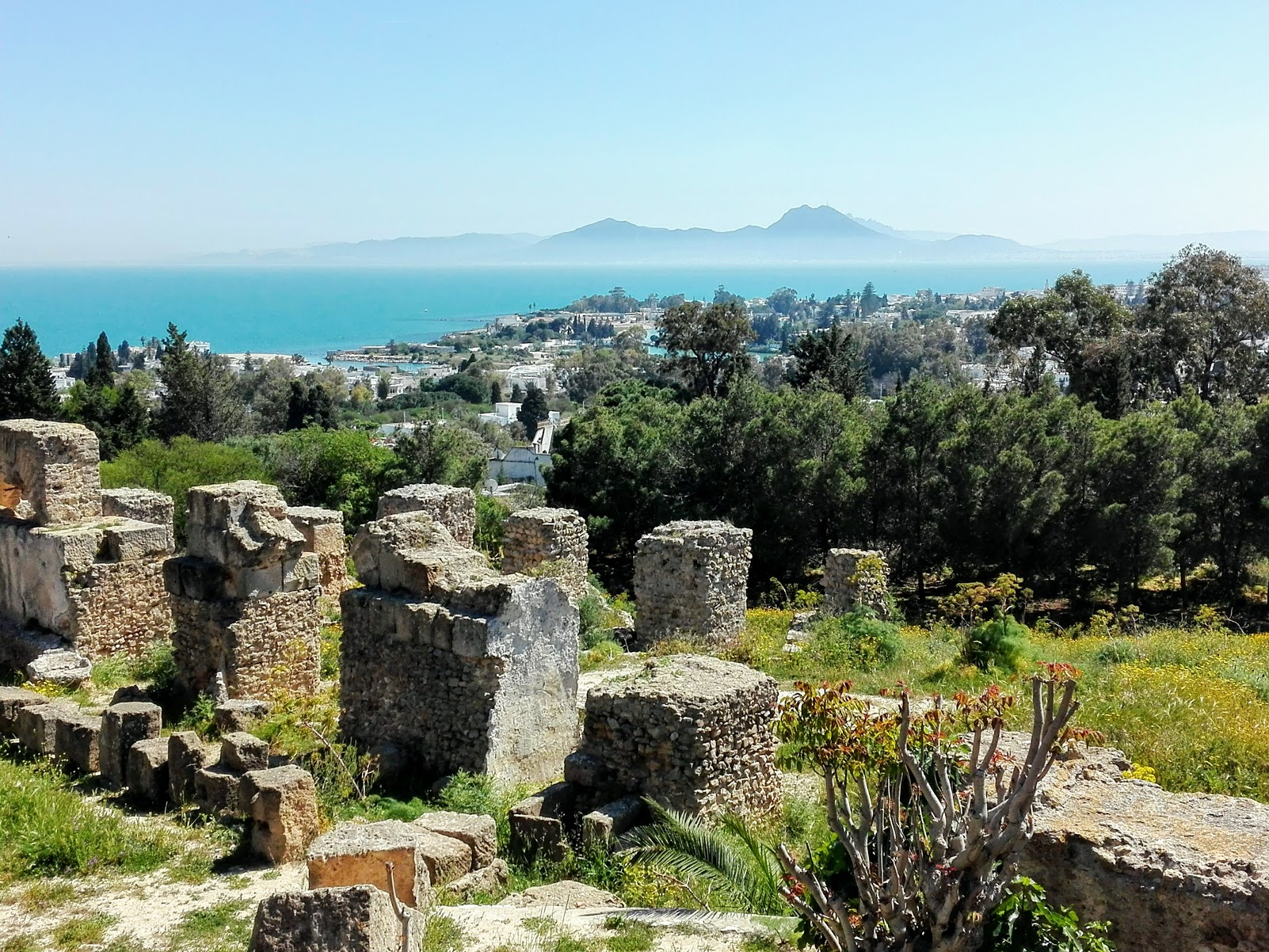 What To Do In Tunisia