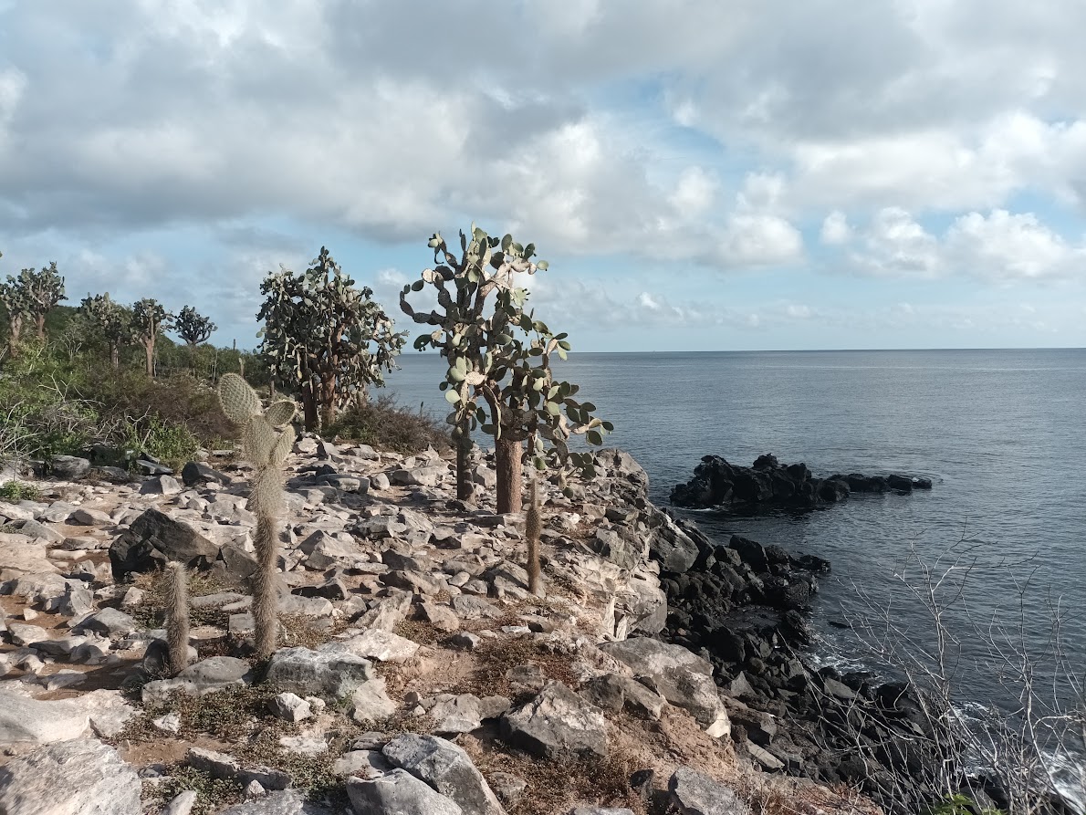 10 Days Working Remotely in the Galapagos